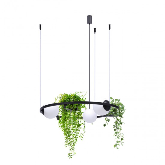 Suspensie PLANT 5005 Zumaline E27, Negru, Polonia