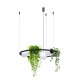 Suspensie PLANT 5005 Zumaline E27, Negru, Polonia