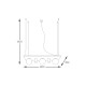 Suspensie PLANT SHELF 5555 Zumaline E14, Negru, Polonia