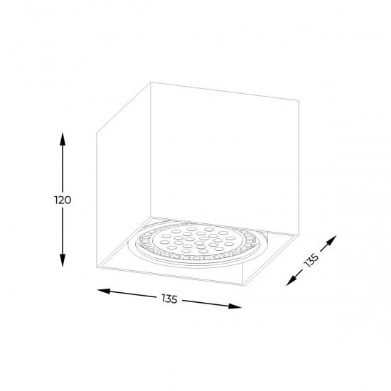 Downlight Aplicat BOX 1 ACGU10-114-N Zumaline GU10, Alb, Polonia