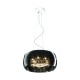 Suspensie CRYSTAL P0076-06X-F4FZ Zumaline G9, Crom, Polonia