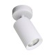 Downlight Aplicat TORE TLS006-WH Zumaline GU10, Alb, Polonia